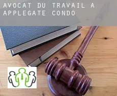 Avocat du travail à  Applegate Condo