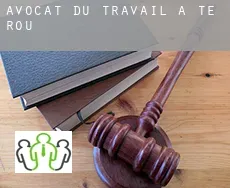 Avocat du travail à Te Rou