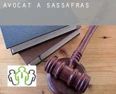 Avocat à  Sassafras