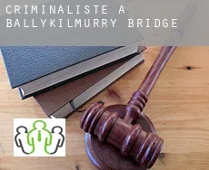 Criminaliste à  Ballykilmurry Bridge