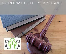 Criminaliste à  Breland