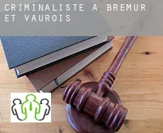 Criminaliste à Brémur-et-Vaurois