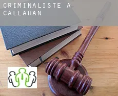 Criminaliste à  Callahan