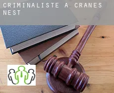 Criminaliste à  Cranes Nest