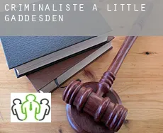 Criminaliste à  Little Gaddesden