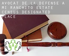 Avocat de la défense à Mi Ranchito Estate