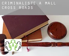 Criminaliste à  Mall Cross Roads