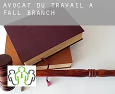 Avocat du travail à  Fall Branch