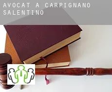 Avocat à  Carpignano Salentino