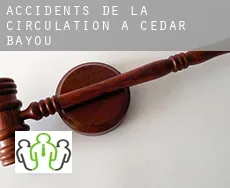 Accidents de la circulation à  Cedar Bayou