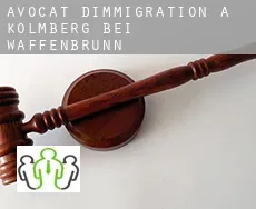 Avocat d'immigration à  Kolmberg bei Waffenbrunn
