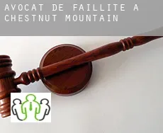 Avocat de faillite à  Chestnut Mountain