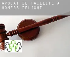 Avocat de faillite à  Homers Delight