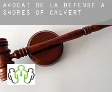 Avocat de la défense à  Shores of Calvert