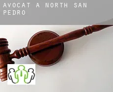 Avocat à  North San Pedro