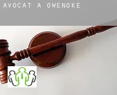 Avocat à  Owenoke