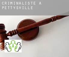 Criminaliste à  Pettysville