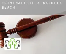 Criminaliste à  Wakulla Beach