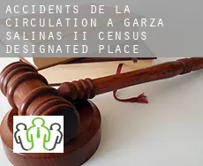 Accidents de la circulation à  Garza-Salinas II
