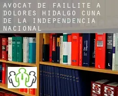 Avocat de faillite à  Dolores Hidalgo Cuna de la Independencia Nacional
