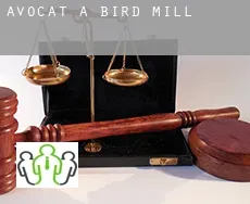 Avocat à  Bird Mill
