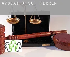 Avocat à  Sot de Ferrer