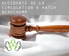 Accidents de la circulation à Hatch Beauchamp
