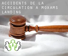 Accidents de la circulation à Moxam's Landing