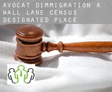 Avocat d'immigration à Wall Lane