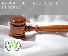 Avocat de faillite à  Liddell