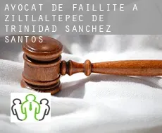 Avocat de faillite à Ziltlaltepec de Trinidad Sanchez Santos