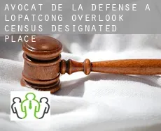 Avocat de la défense à Lopatcong Overlook