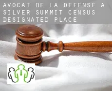Avocat de la défense à  Silver Summit
