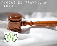 Avocat du travail à  Panther