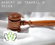 Avocat du travail à  Secor