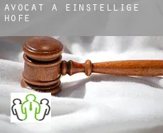 Avocat à  Einstellige Höfe