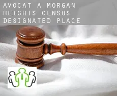 Avocat à  Morgan Heights