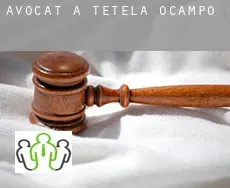Avocat à  Tetela de Ocampo