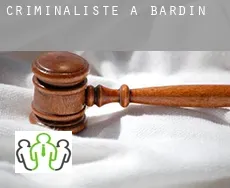 Criminaliste à  Bardin