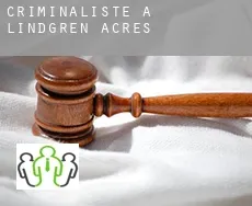 Criminaliste à  Lindgren Acres