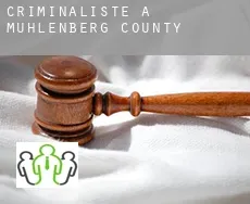 Criminaliste à  Muhlenberg