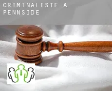 Criminaliste à  Pennside