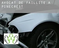 Avocat de faillite à  Pinecrest