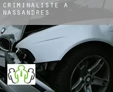 Criminaliste à Nassandres