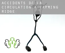 Accidents de la circulation à Farming Ridge