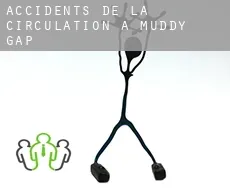 Accidents de la circulation à Muddy Gap