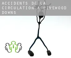 Accidents de la circulation à  Pinewood Downs