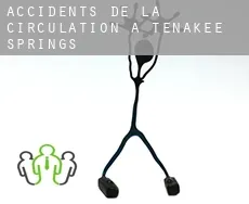 Accidents de la circulation à  Tenakee Springs