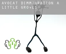 Avocat d'immigration à  Little Groves