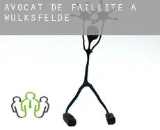Avocat de faillite à  Wulksfelde